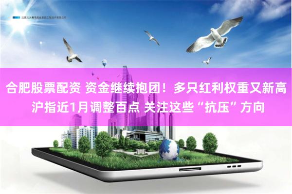 合肥股票配资 资金继续抱团！多只红利权重又新高 沪指近1月调整百点 关注这些“抗压”方向