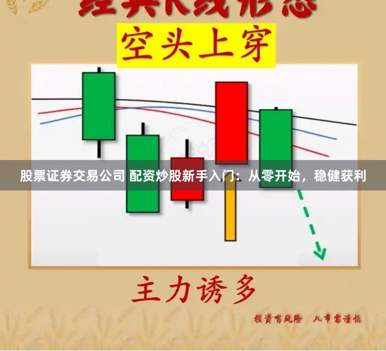 股票证券交易公司 配资炒股新手入门：从零开始，稳健获利