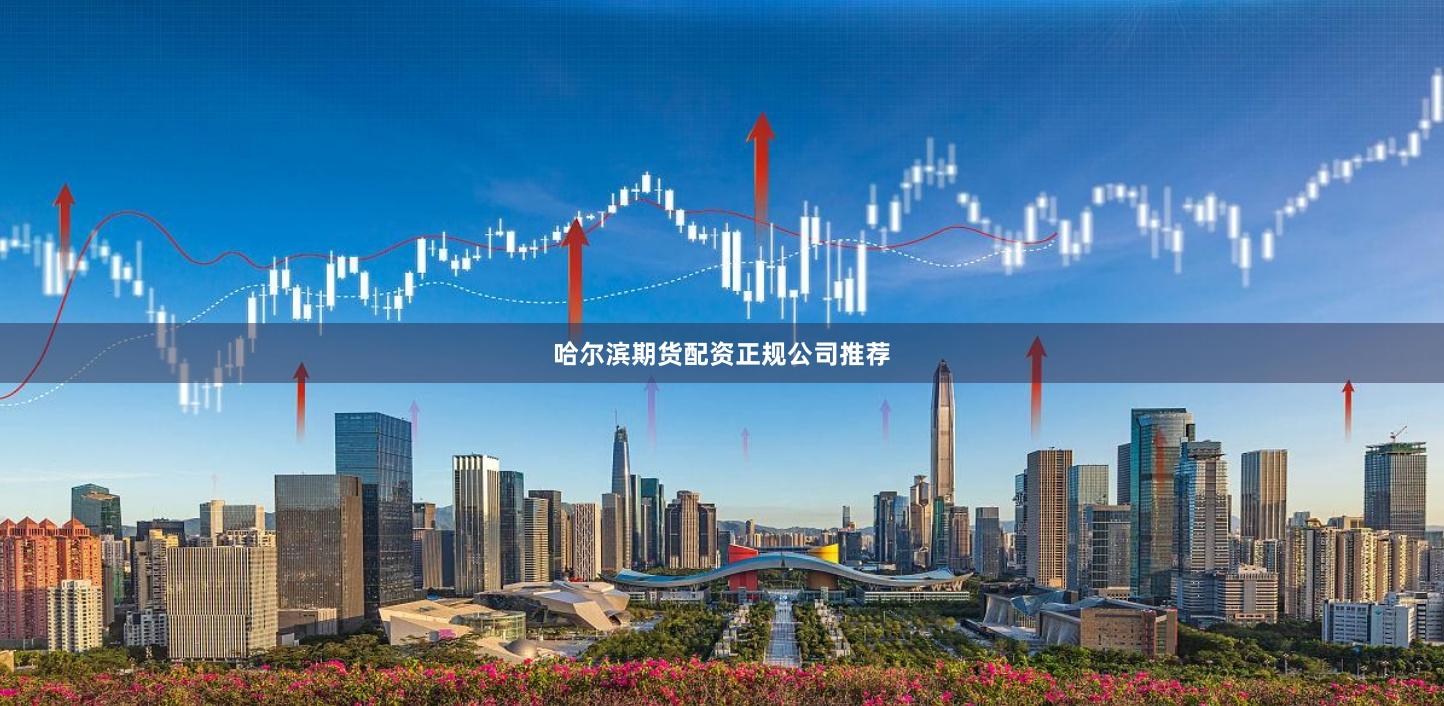 哈尔滨期货配资正规公司推荐
