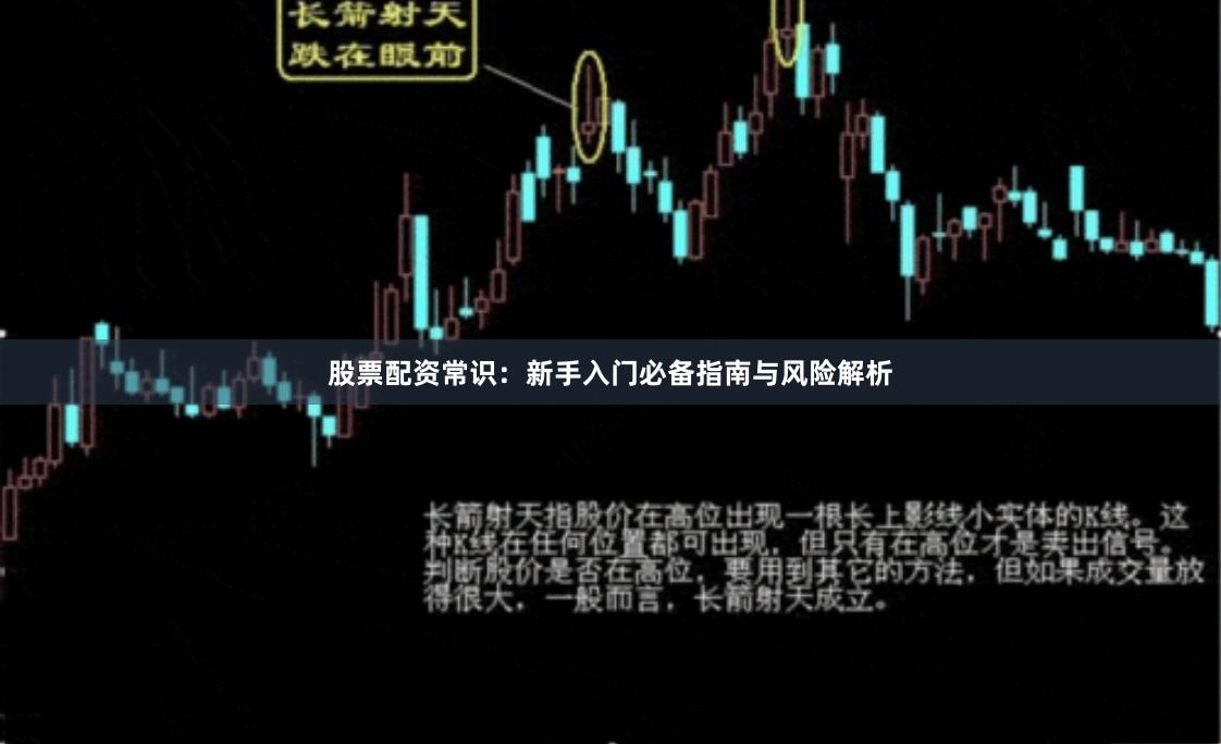 股票配资常识：新手入门必备指南与风险解析